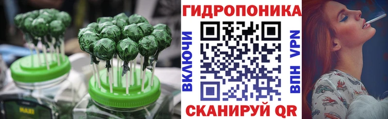 shop состав  Касимов  Canna-Cookies конопля  даркнет сайт 