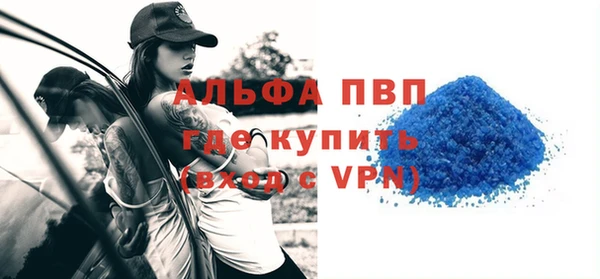 стаф Новозыбков