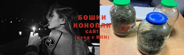 индика Нея