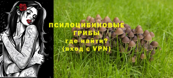 эйфоретик Няндома