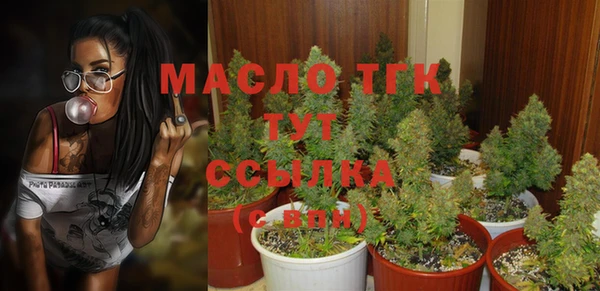 эйфоретик Няндома