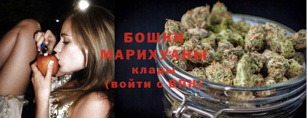 эйфоретик Няндома