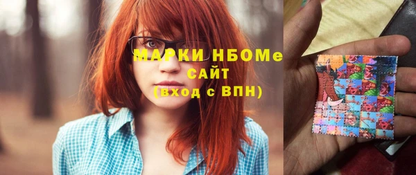 стаф Новозыбков