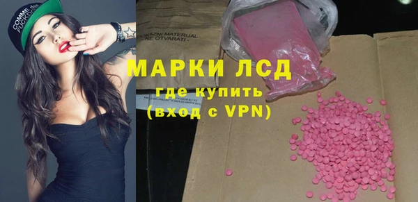 стаф Новозыбков