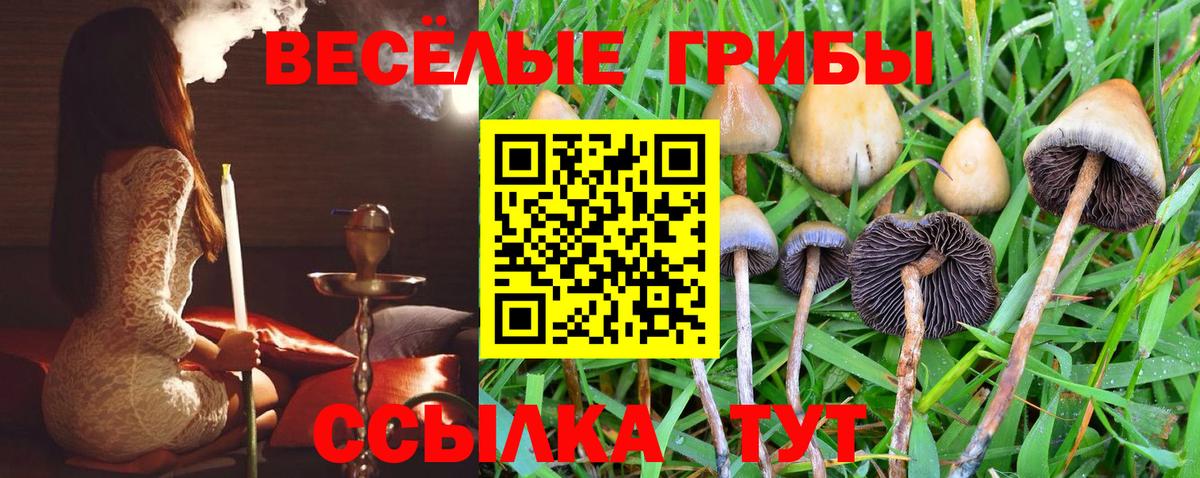 Касимов  Псилоцибиновые грибы ЛСД  Вход с VPN  Псилоцибиновые грибы прущие грибы 