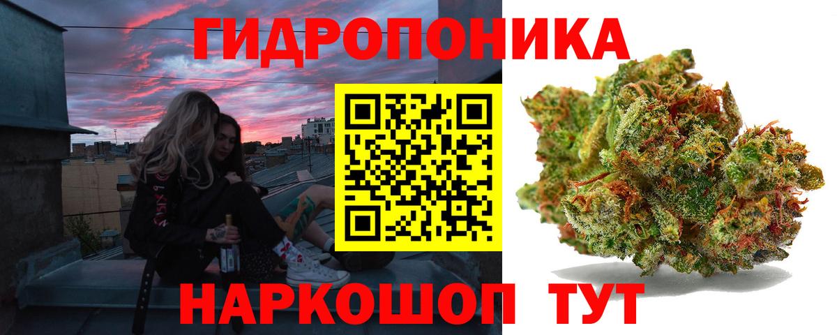 Псилоцибиновые грибы Касимов